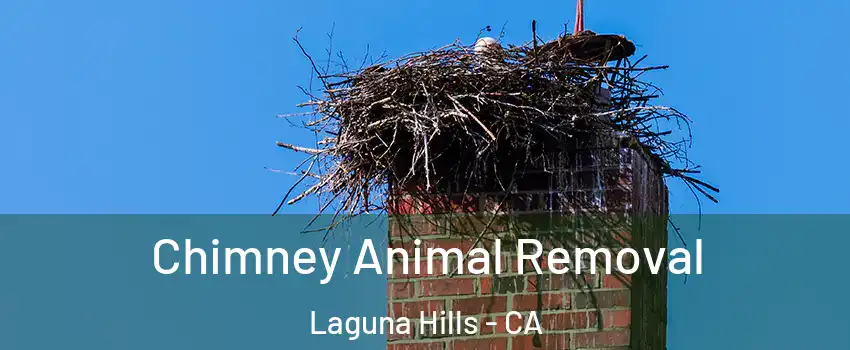  Chimney Animal Removal Laguna Hills - CA