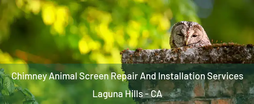  Chimney Animal Screen Repair And Installation Services Laguna Hills - CA