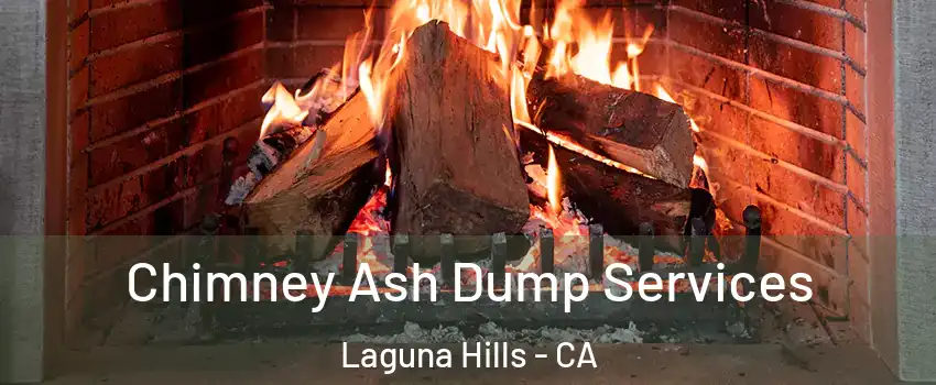  Chimney Ash Dump Services Laguna Hills - CA