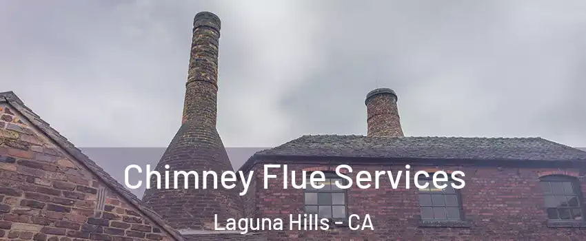  Chimney Flue Services Laguna Hills - CA