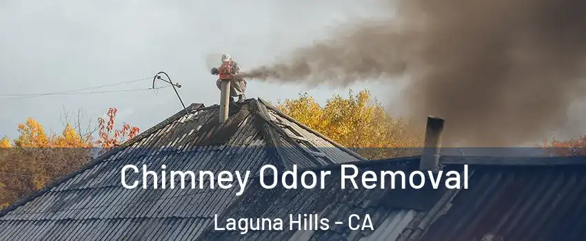  Chimney Odor Removal Laguna Hills - CA