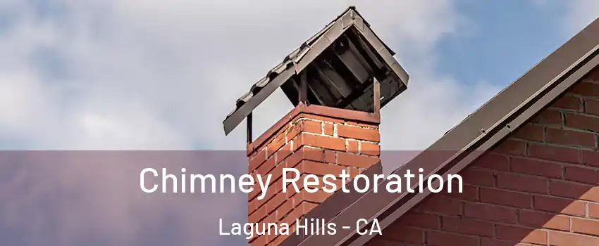  Chimney Restoration Laguna Hills - CA