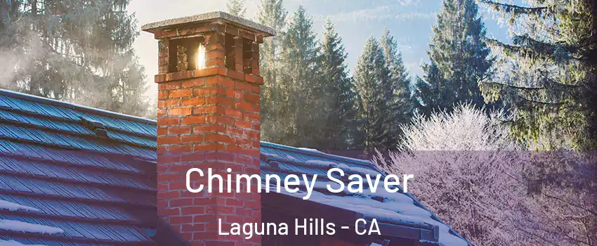  Chimney Saver Laguna Hills - CA