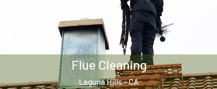  Flue Cleaning Laguna Hills - CA