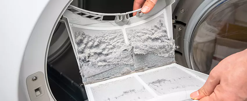 Best Dryer Lint Removal Company in Laguna Hills, California