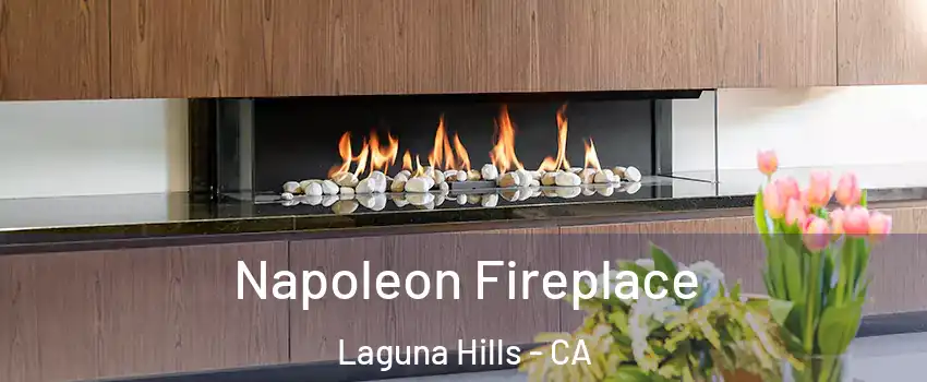  Napoleon Fireplace Laguna Hills - CA